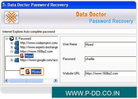 Internet Explorer Password Recovery